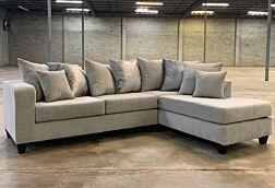 2 Pc. Dove Sectional Set 