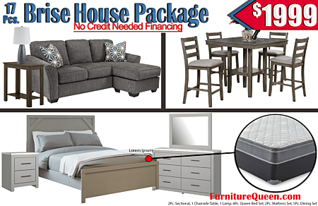 17 Pc. Brise Whole House Package - $1999