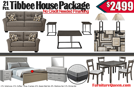 21 Pc. TIbbee Grey House Package